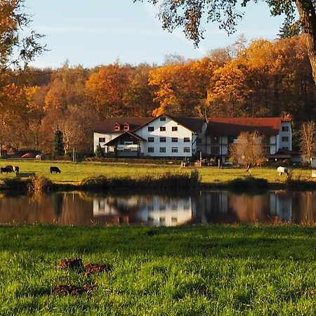 Landgasthof Rotlipp Gaestezimmer Ortenberg  Zewnętrze zdjęcie