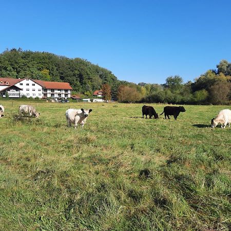 Landgasthof Rotlipp Gaestezimmer Ortenberg  Zewnętrze zdjęcie