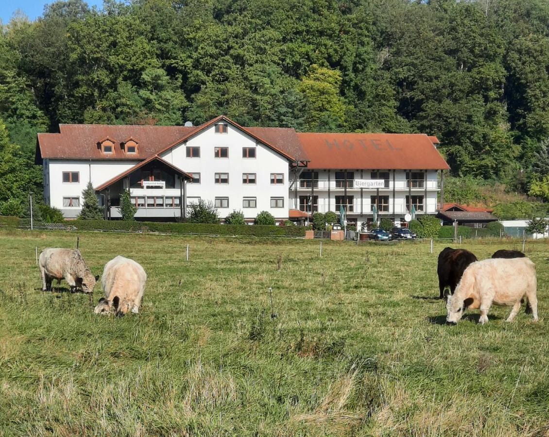 Landgasthof Rotlipp Gaestezimmer Ortenberg  Zewnętrze zdjęcie