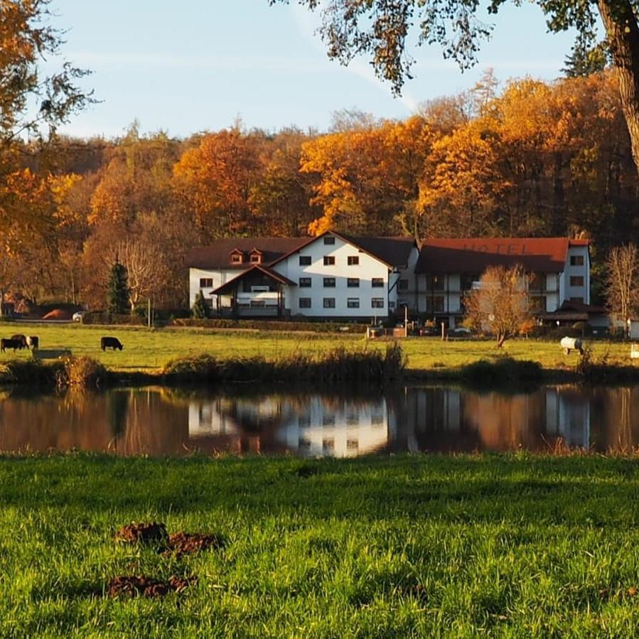 Landgasthof Rotlipp Gaestezimmer Ortenberg  Zewnętrze zdjęcie