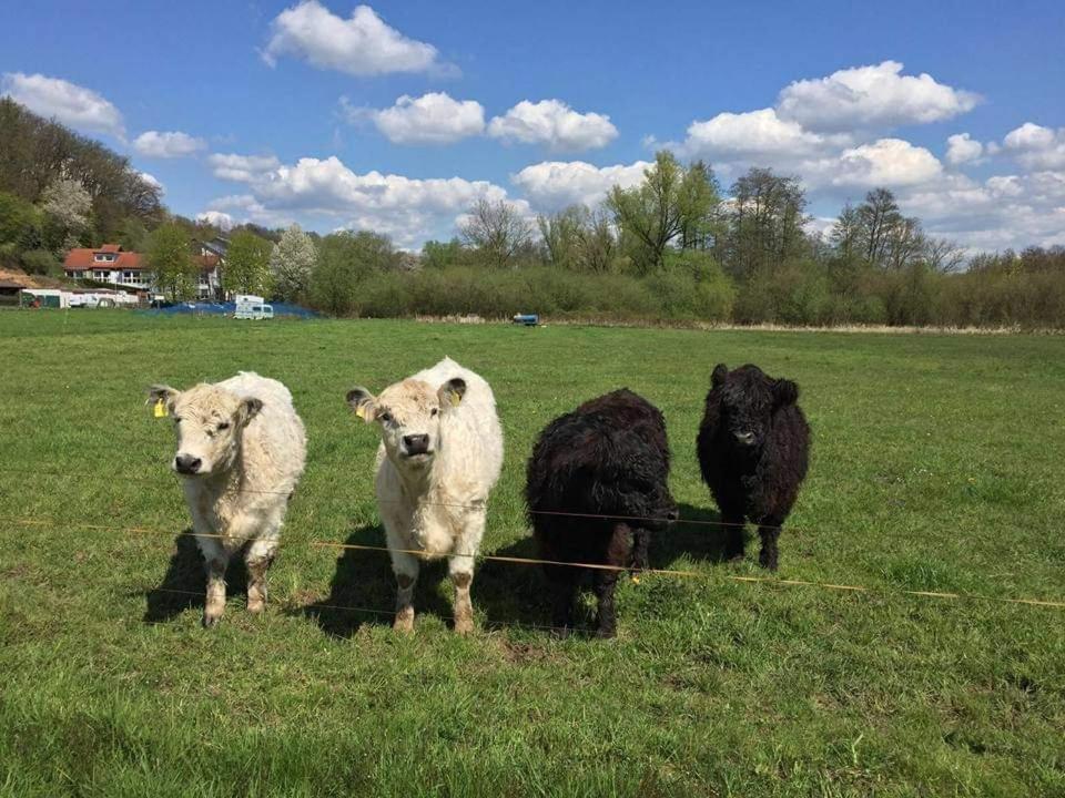 Landgasthof Rotlipp Gaestezimmer Ortenberg  Zewnętrze zdjęcie