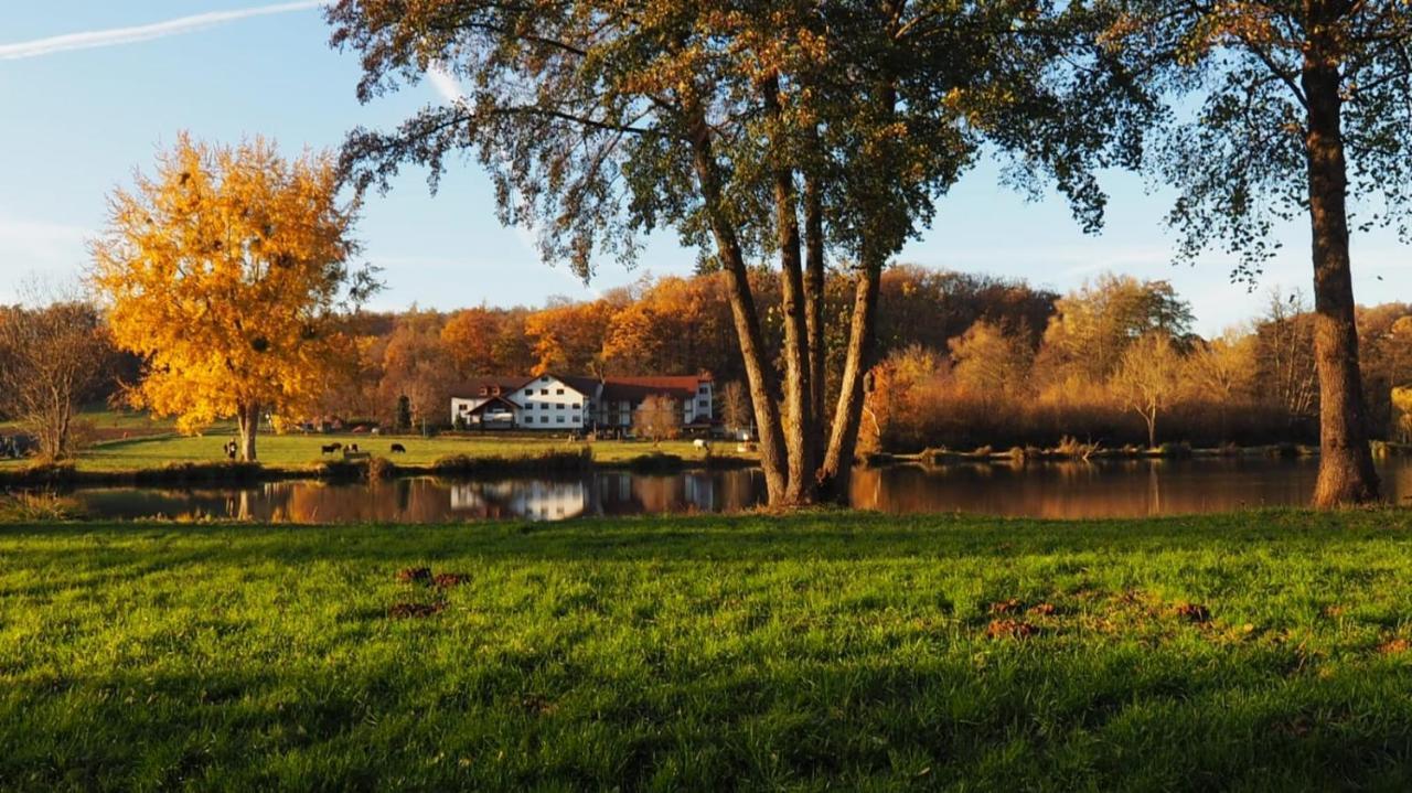 Landgasthof Rotlipp Gaestezimmer Ortenberg  Zewnętrze zdjęcie
