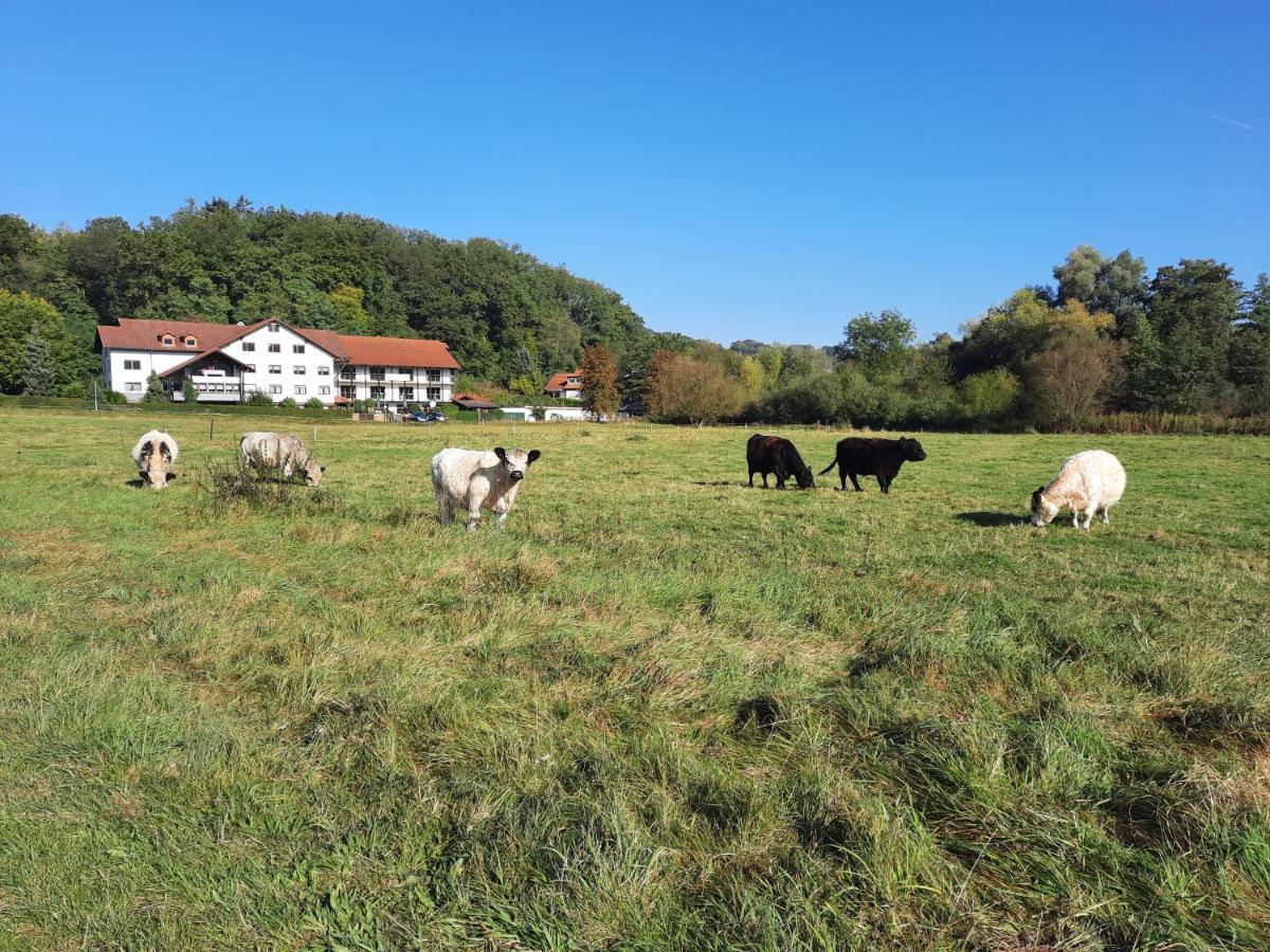Landgasthof Rotlipp Gaestezimmer Ortenberg  Zewnętrze zdjęcie
