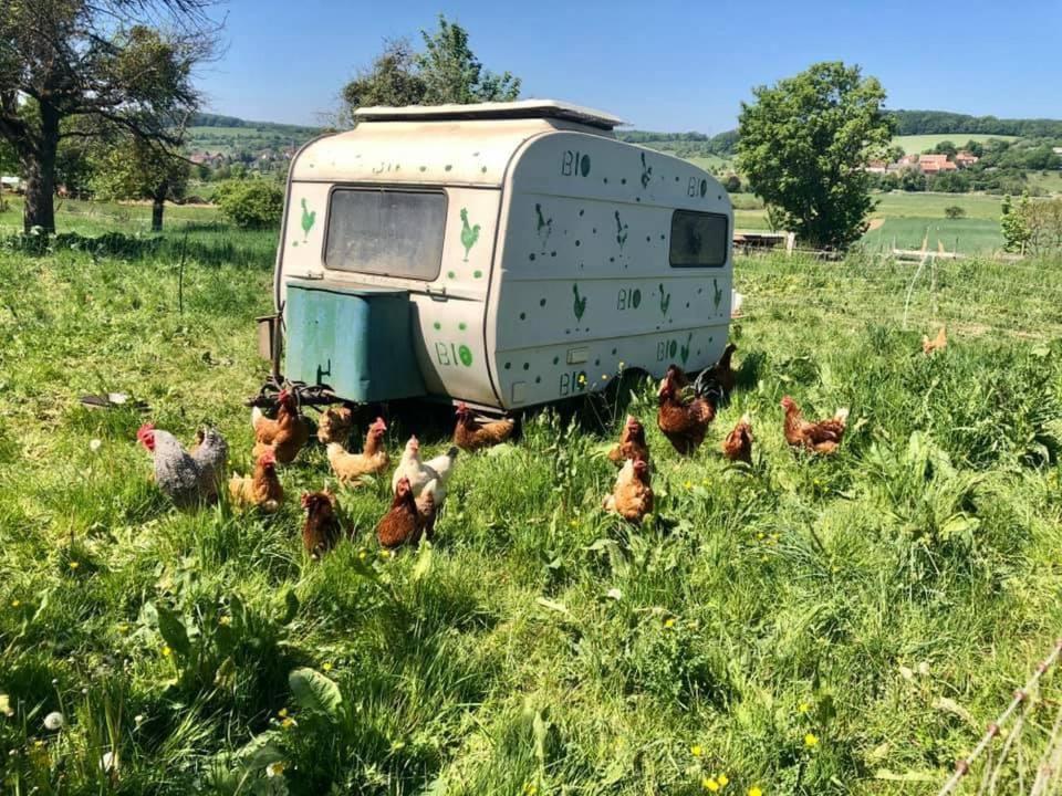 Landgasthof Rotlipp Gaestezimmer Ortenberg  Zewnętrze zdjęcie