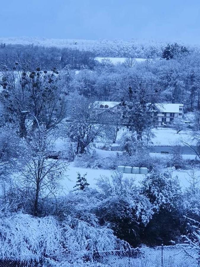 Landgasthof Rotlipp Gaestezimmer Ortenberg  Zewnętrze zdjęcie